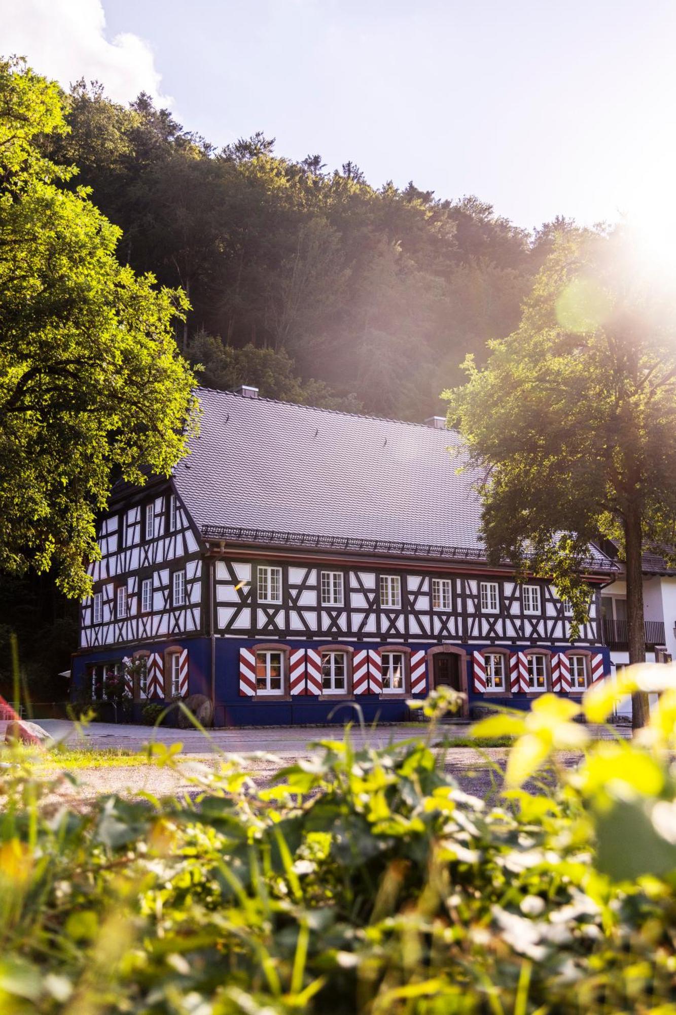 Schlossmuehle - Lean Luxury Boutique Hotel Glottertal Exterior photo